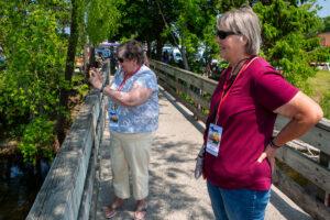 Two women observing something over a wooden fence on a sunny day.