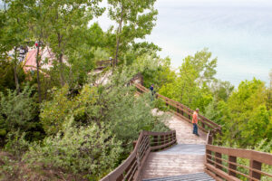 People walking on a wooden boardwalk surrounded by lush greenery.
