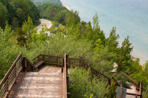Wooden stairs descending through lush green foliage towards a calm body of water.