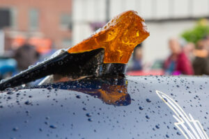 Amber-colored ice on a wet surface with water droplets.